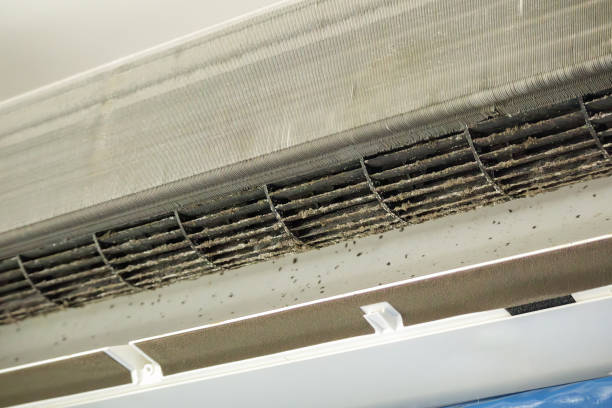 Best Affordable Duct Cleaning Services  in Fiskdale, MA